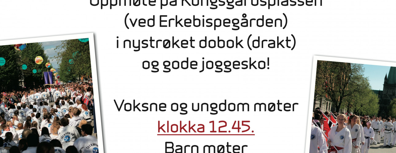 17. mai